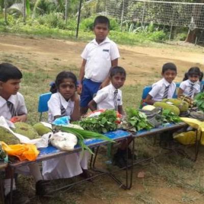 312077692 5924887577530636 3400398770406663817 N