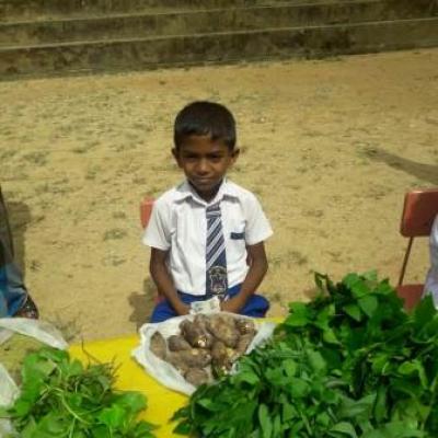 312169753 5924887727530621 1888564680428643108 N