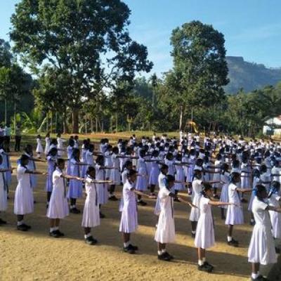 50338974 2271704979515599 2280746639129837568 N