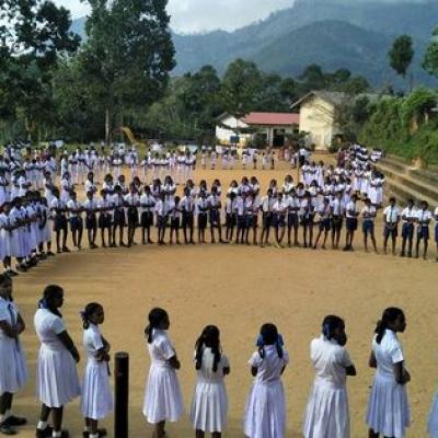 50401075 2270256852993745 7175211577749012480 N