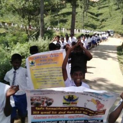 50610863 2276655052353925 4005254494706204672 N