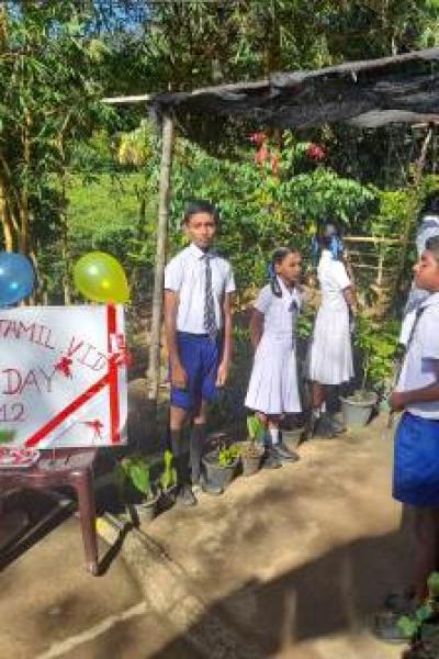 311625475 5908264122526315 3182759988453251418 N