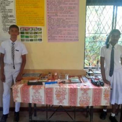 311646245 5908308565855204 6599744173920582522 N