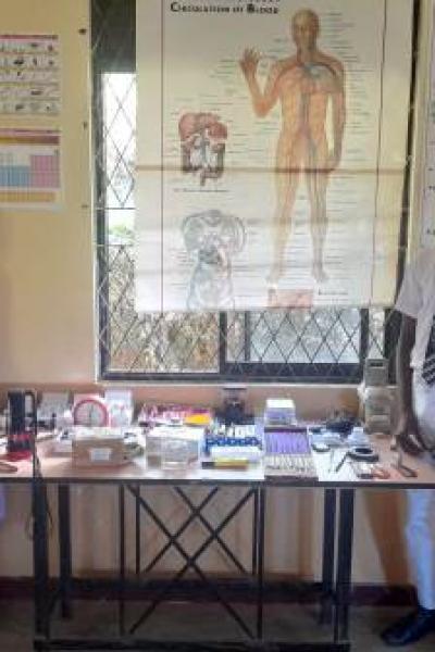 311665383 5908308079188586 2053787797978468181 N