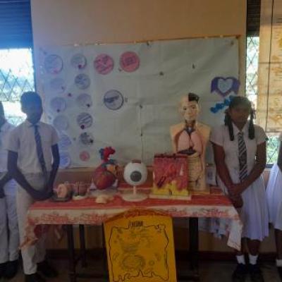 311689963 5908304859188908 8384182177409698655 N