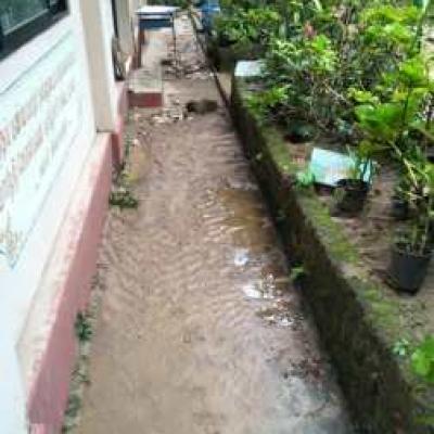 72624702 2723076351045124 3985833606076432384 N