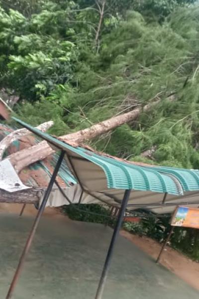 Whatsapp Image 2022 12 08 At 11.47.13