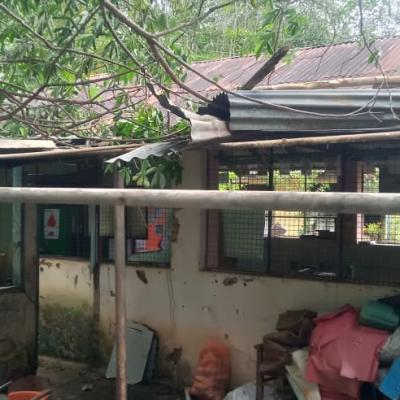 Whatsapp Image 2022 12 08 At 11.47.17