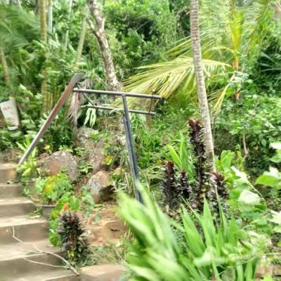 Whatsapp Image 2022 12 08 At 11.47.19